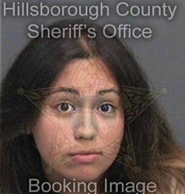 Angelica Vidal, - Hillsborough County, FL 