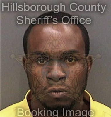 Thaddeus Fields, - Hillsborough County, FL 