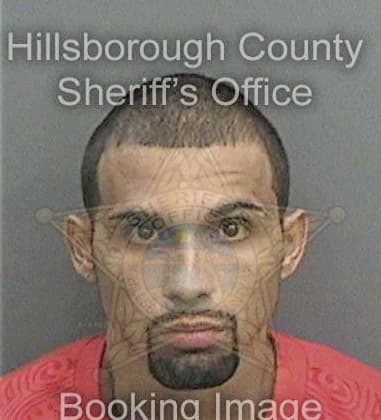 Christopher Foss, - Hillsborough County, FL 