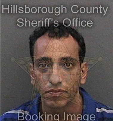 Ricardo Guzmangarcia, - Hillsborough County, FL 