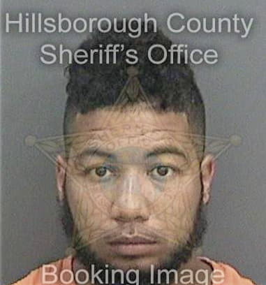 Kelvin Mitchell - Hillsborough County, FL 