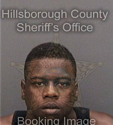 Kinshad Hamilton, - Hillsborough County, FL 