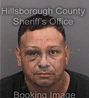 Yasmay Lazo-Figueroa, - Hillsborough County, FL 