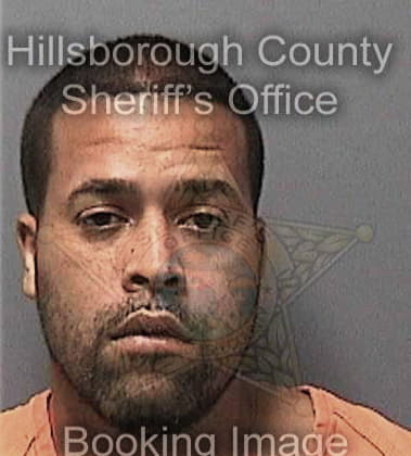 Felipe Majano, - Hillsborough County, FL 