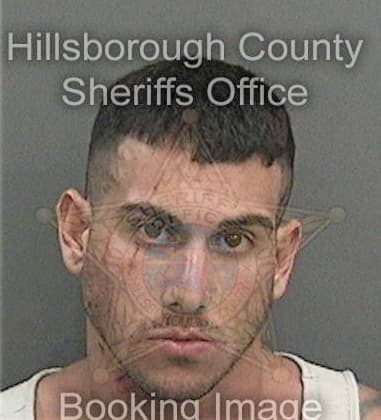 Robert McDaniel - Hillsborough County, FL 