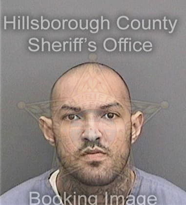 Amilcar Sosa, - Hillsborough County, FL 