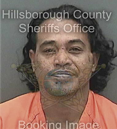 Hugo Garcia, - Hillsborough County, FL 