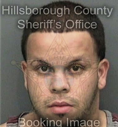 William Godek, - Hillsborough County, FL 