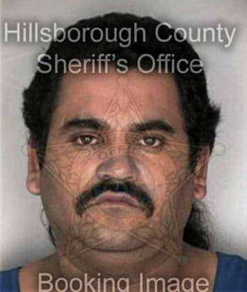 Adan Hortelano, - Hillsborough County, FL 