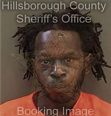 Elijahjuan Scott, - Hillsborough County, FL 