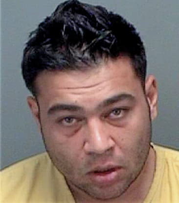 Timothy Stacy - Pinellas County, FL 