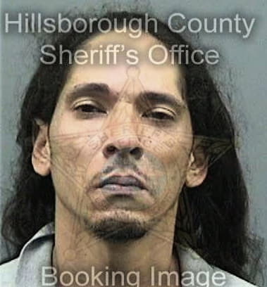 Christopher Angelo, - Hillsborough County, FL 