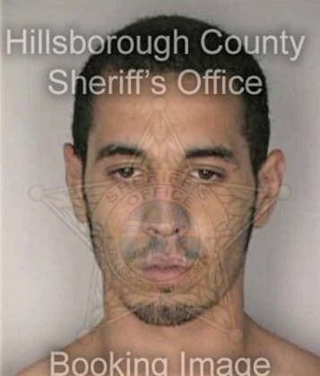 Fernando Hernandez - Hillsborough County, FL 