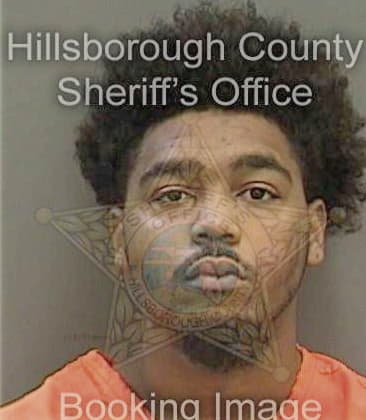 Ray Johnson, - Hillsborough County, FL 