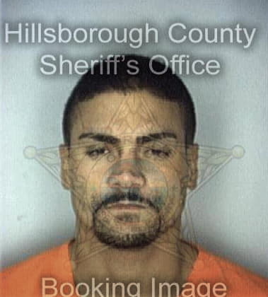 Michael Young, - Hillsborough County, FL 