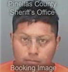 Jose Altamiranoortega, - Pinellas County, FL 