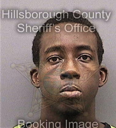 Nathaniel Patterson, - Hillsborough County, FL 