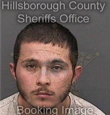 Hector Sanchez-Ayala, - Hillsborough County, FL 