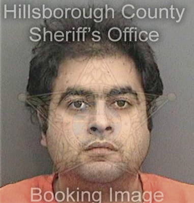 Paul Shelton, - Hillsborough County, FL 