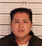 Jose Altamiranogarcia, - Shelby County, TN 