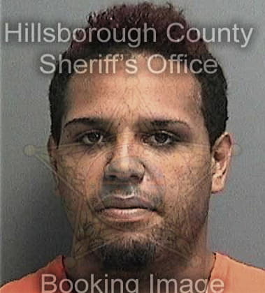 Gregory Arbogast, - Hillsborough County, FL 