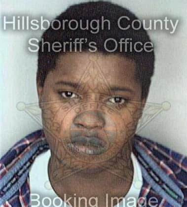 Richard Childs - Hillsborough County, FL 