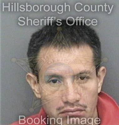 Hector Colon, - Hillsborough County, FL 