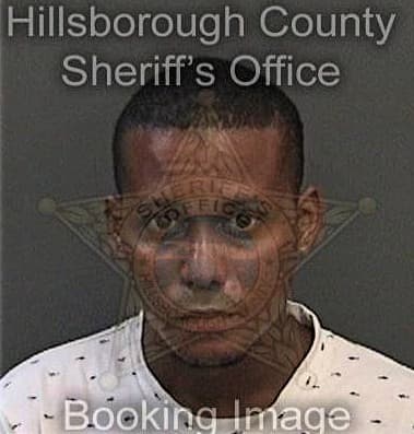 Ryan Medeiros - Hillsborough County, FL 