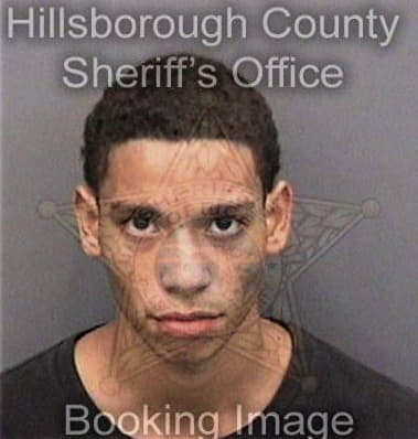 Nicholas Vest, - Hillsborough County, FL 