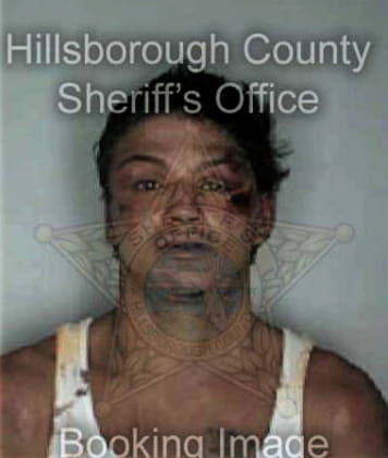 Steve Brady - Hillsborough County, FL 