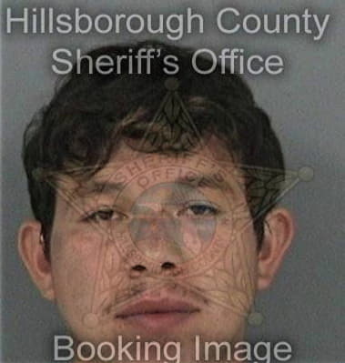 Alfonso Dilan, - Hillsborough County, FL 