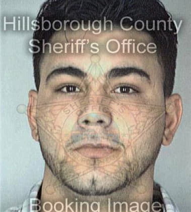 Lorenzo Flores, - Hillsborough County, FL 