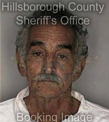 Mario Gomezhernandez, - Hillsborough County, FL 