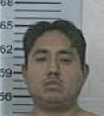 Mario Medina, - Robertson County, TN 