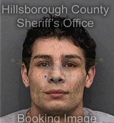 Michael Purvis, - Hillsborough County, FL 