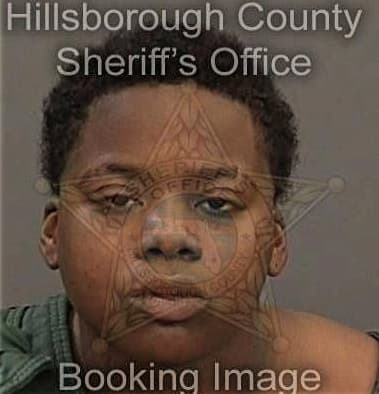 Alea Black - Hillsborough County, FL 