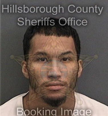 Derell Garland, - Hillsborough County, FL 