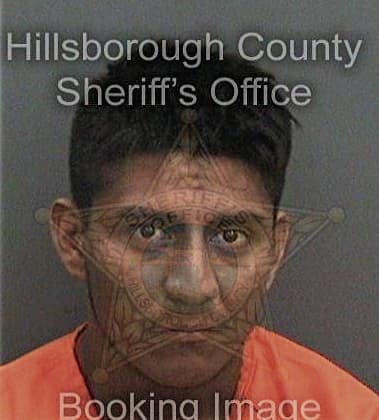 Michael Gibson, - Hillsborough County, FL 