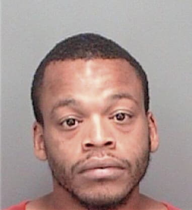 Joshua Lloyd - Pinellas County, FL 