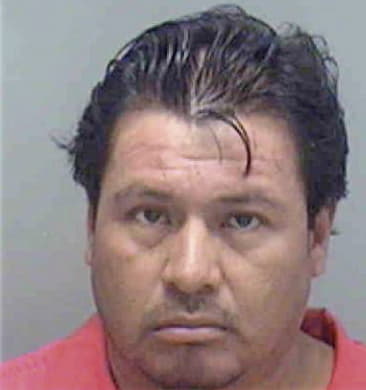 Humberto Mejia, - Lee County, FL 