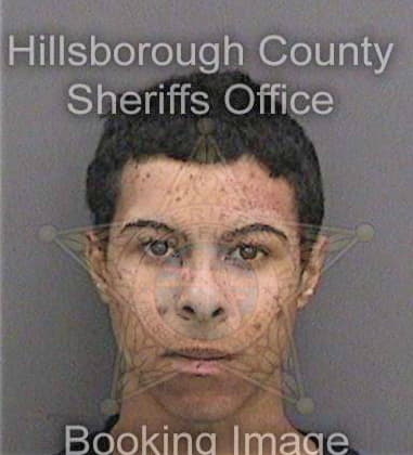 Steven Montalvo, - Hillsborough County, FL 