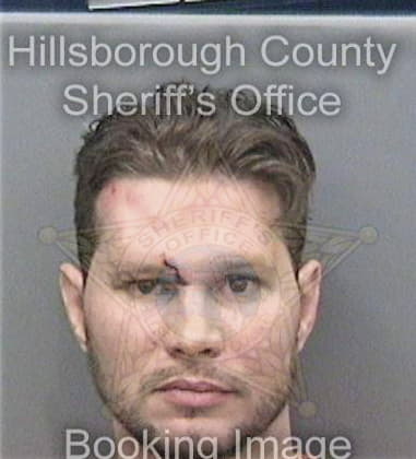 Edgar Ronquillorivera, - Hillsborough County, FL 