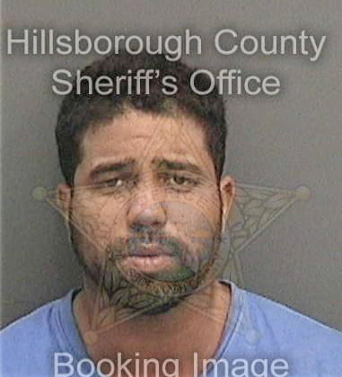 Erick Villarrealsamojin, - Hillsborough County, FL 