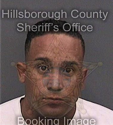 Hany Abouelkhir, - Hillsborough County, FL 