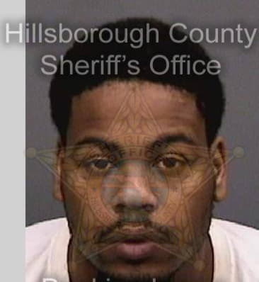 Michael Bridgeman - Hillsborough County, FL 