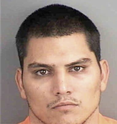 Juan Ortegacastillo, - Collier County, FL 