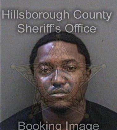 Micheal Robinson, - Hillsborough County, FL 