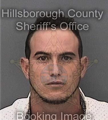 William Rodriguezrosario, - Hillsborough County, FL 