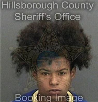 Tashekia Singletary, - Hillsborough County, FL 