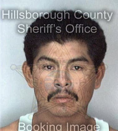 Williams Ayala, - Hillsborough County, FL 